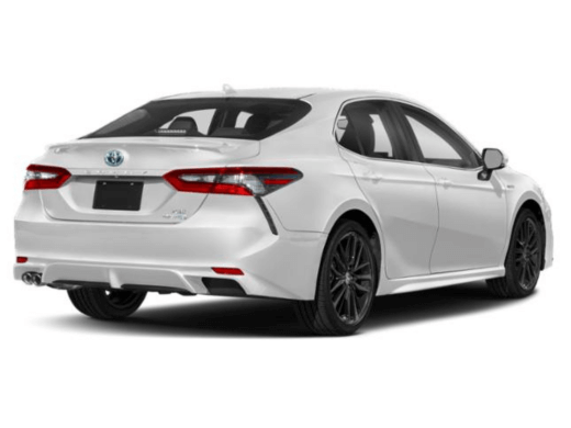 camry 2023 back